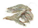 Crevettes crues 40/60 (300 g)