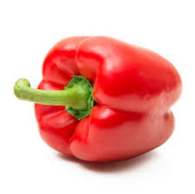 Poivron rouge (petit calibre), Pays-Bas