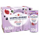 SAN PELLEGRINO Momenti Boisson pétillante saveur grenade et cassis boîtes