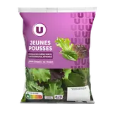 Mélange de jeunes pousses - Sachet 100g