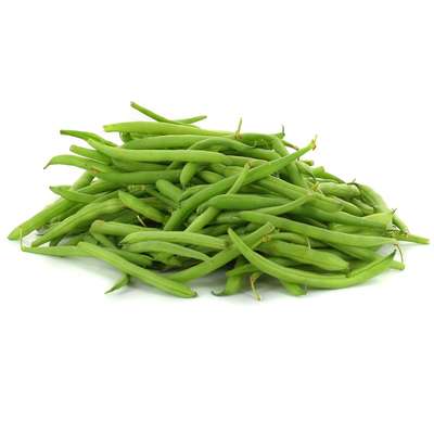 Haricot vert fin de l'Oise (sachet de 500 g), France