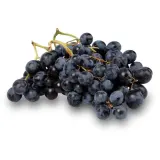 CULTIVONS LE BON Raisins Muscat