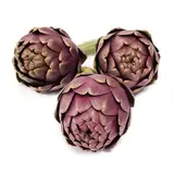 Lot de 3 artichauts violet BIO du Finistère nord - direct producteur (très petit calibre), France