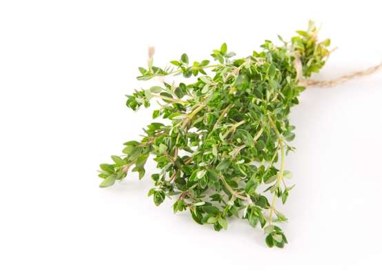 Thym citron botte, France