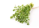 Thym citron botte, France