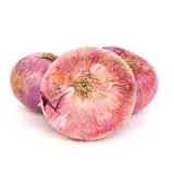 Oignon rose BIO de Bretagne - Direct producteur (filet de 500 g), France
