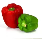 Poivrons  panachés bio Rouge & vert