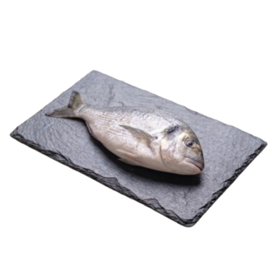 Daurade Royale