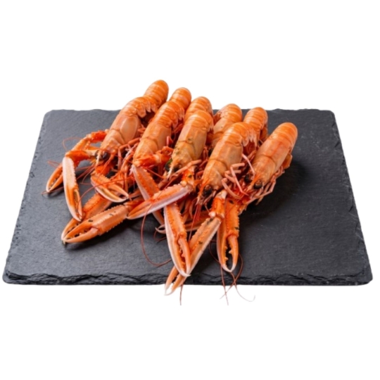 Langoustines Moyenne