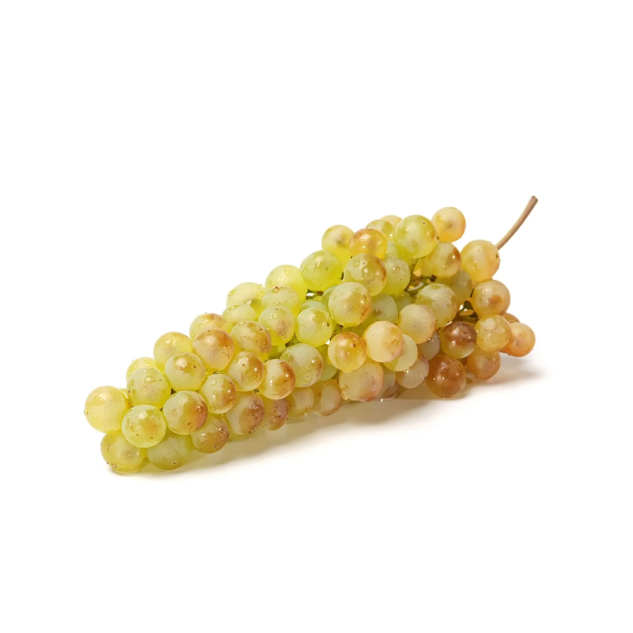 Raisins blancs Chasselas AOP
