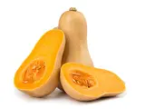 Butternut (0.7 à 1.2 kg) (calibre moyen), France