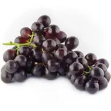 Raisin noir "Lavallée" de Provence - direct producteur (barquette de 500 g), France