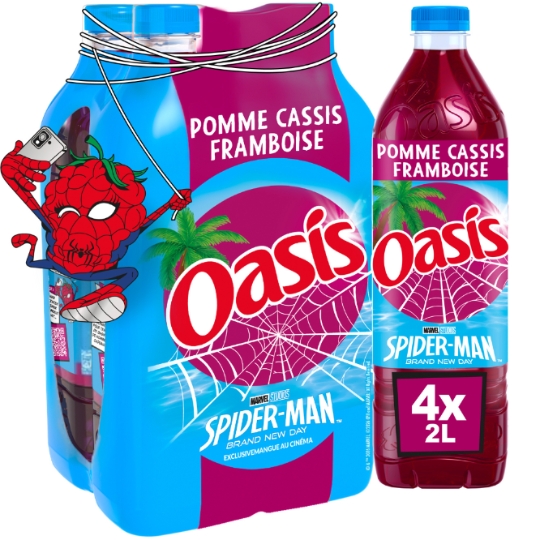 Boisson Aux Fruits Pomme Cassis et Framboise OASIS