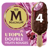 Bâtonnets glacés double fruits rouges MAGNUM 4x71g