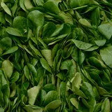 Mâche bio  - Barquette 100g