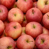 Pomme elstar bio cal:95+ cat:1 St julien de concelles France le sachet de 1kg5