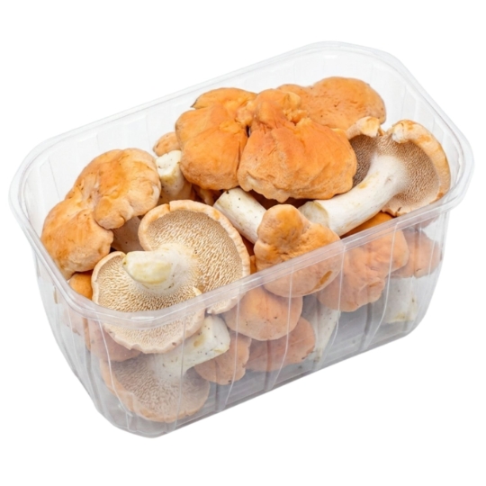 Champignons Pieds-de-mouton