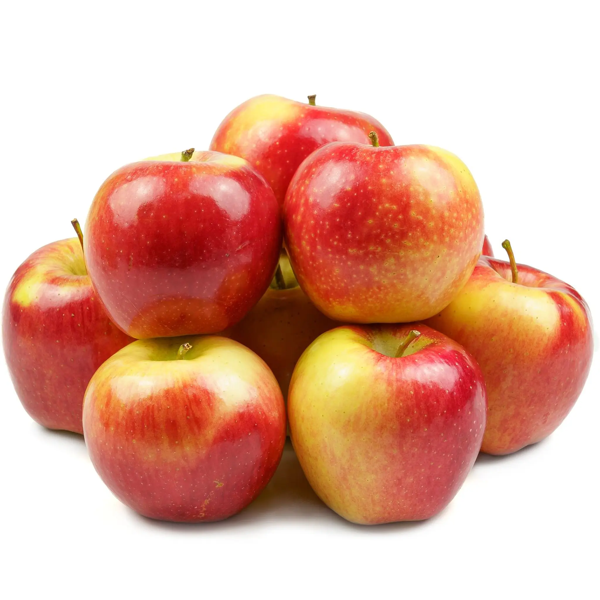 Pommes Reine des Reinettes