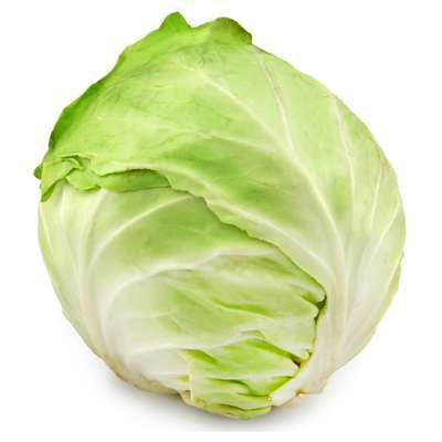Chou blanc des Hauts-de-France (3 à 3,5 Kg) (très gros calibre), France