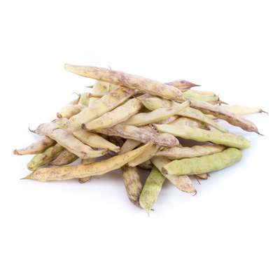 Haricots cocos demi sec de Paimpol AOP BIO, France