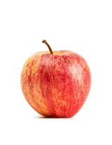 Pomme Gala du Loir-et-Cher (petit calibre), France