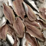 Filet de sardine, Sardina pilchardus, Bretagne, pêché Atlantique NordEst, Pavillon France