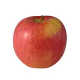 Pomme Royal Gala