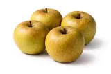 Lot de 4 pommes grise du Canada HVE (calibre moyen), France