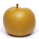 Pomme grise du Canada HVE (calibre moyen), France