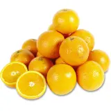 CULTIVONS LE BON Oranges à jus