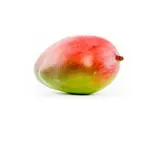 Mangue bio origine Espagne
