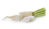 Radis blanc "Daikon" BIO du Finistère Nord - Direct producteur, France