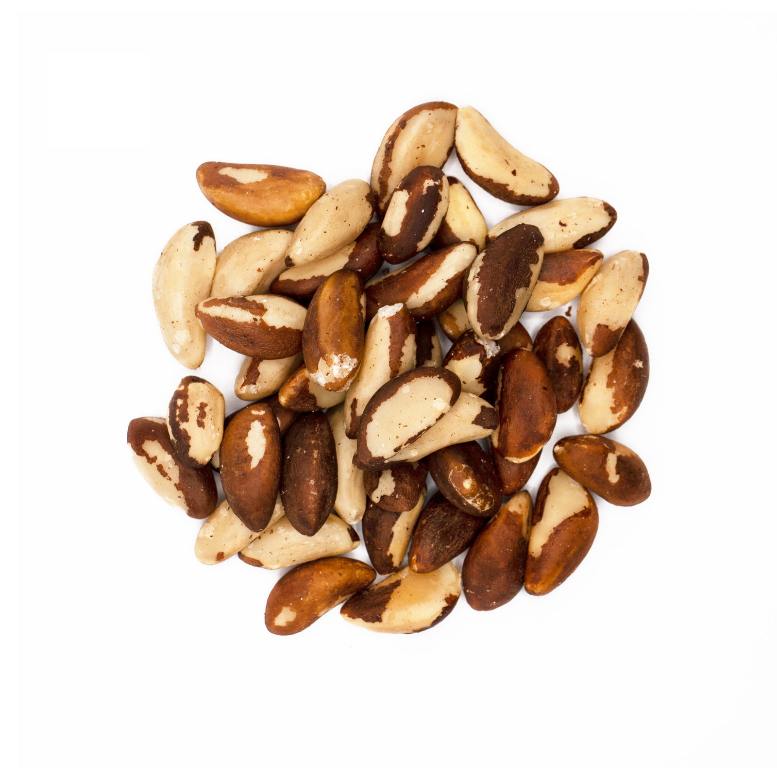 Noix du brésil bio en sachet kraft - 250g