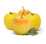Lot de 4 pommes Golden du Loir-et-Cher (calibre moyen), France
