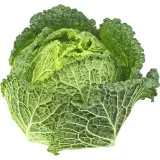 Chou vert frisé