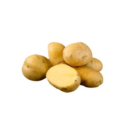 Pomme de terre four, purées, potages "Marabel"  des Hauts-de-France (filet de 2,5 kg), France