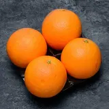 Orange à jus Valencia late - BIO - Barquette 4 fruits