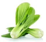 Pak choi (sachet de 2 pièces), Espagne