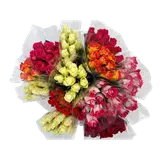 Bouquet 9 roses, hautueur 40cm, Kenya