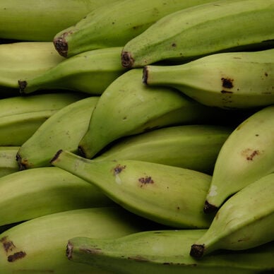 Banane Plantain