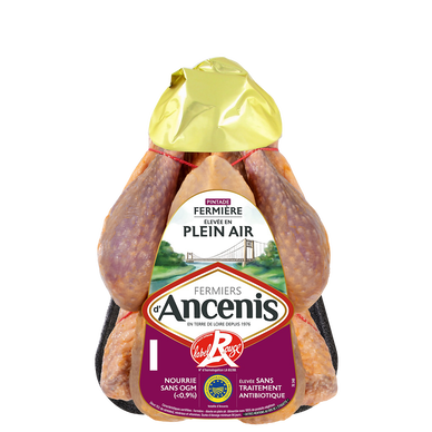 Pintade fermière, Fermiers d'Ancenis, France, 1 pièce