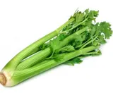 Céleri branche vert BIO du Finistère nord - Direct producteur (calibre moyen), France