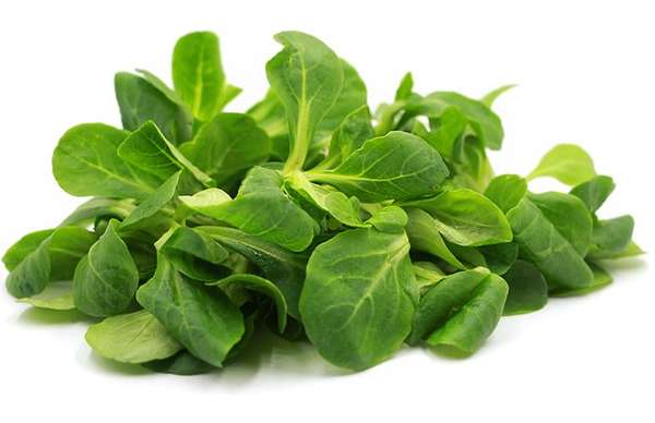 Mâche BIO (barquette de 100 g), France