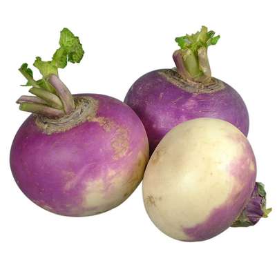 Navet violet (pack de 500 g), Belgique