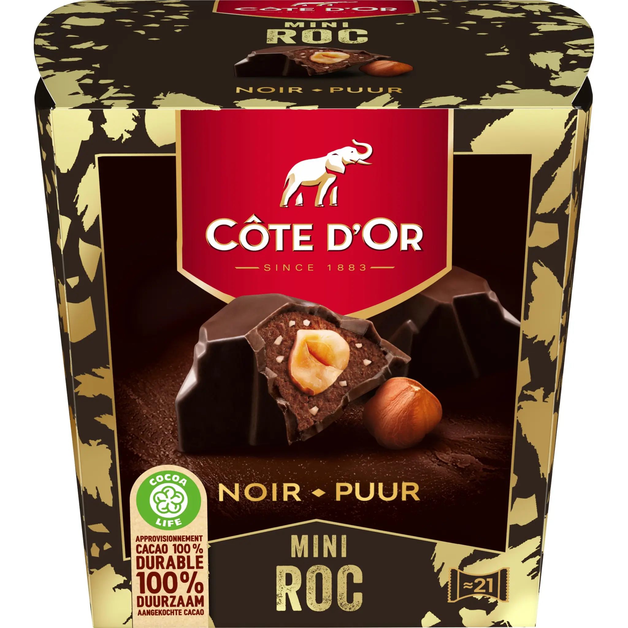 COTE D'OR Mini roc au chocolat noir fourré de crème et noisettes