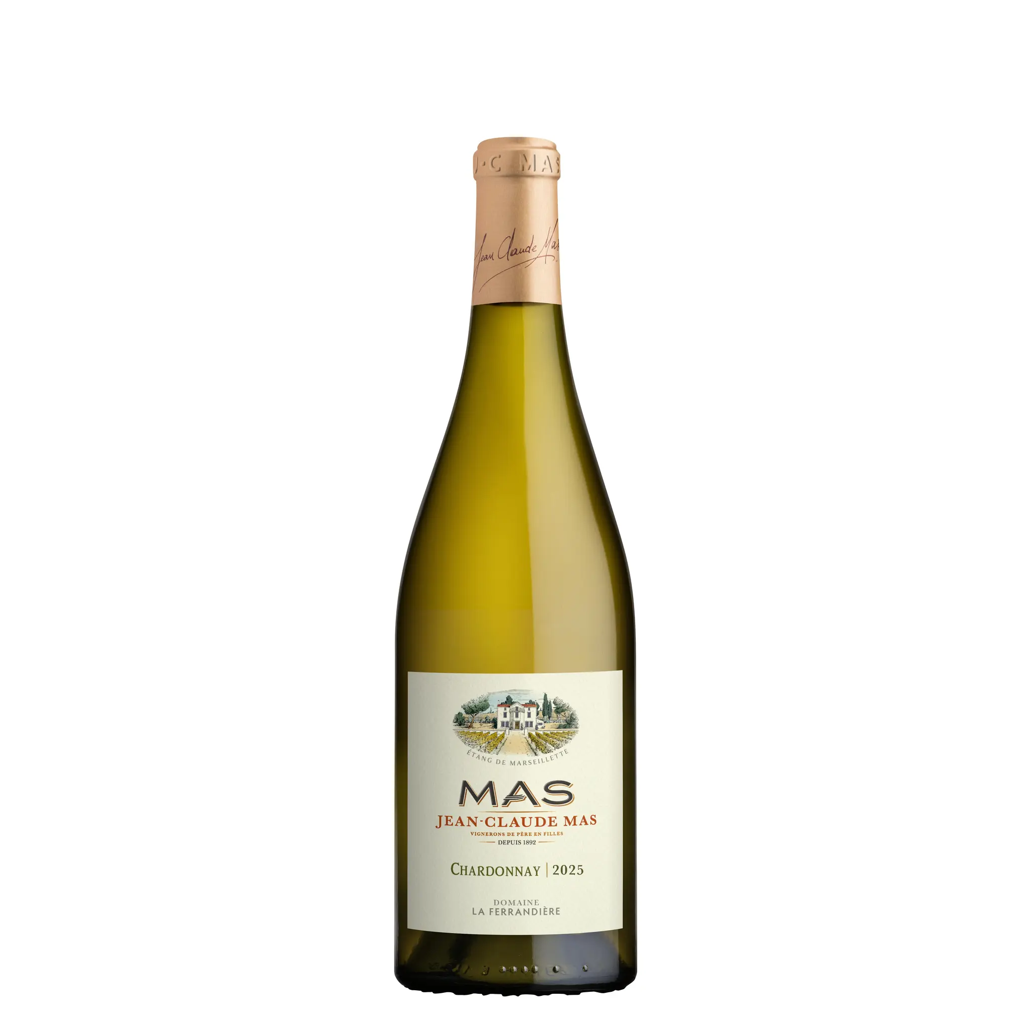 IGP Pays d'Oc Jean Claude Mas Domaine Ferrandiere Chardonnay blanc
