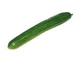 Concombre long lisse BIO (calibre moyen), Espagne