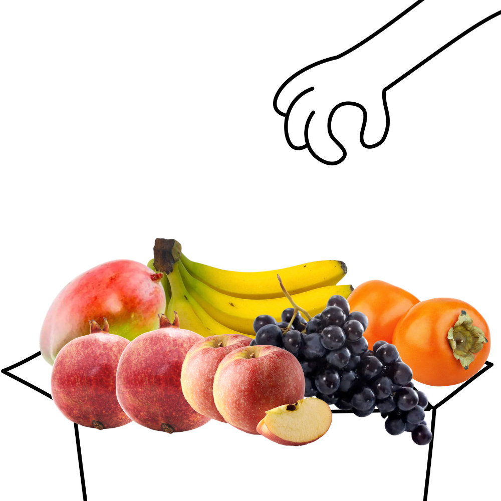 Grand panier de fruits bio - 4 à 5 personnes