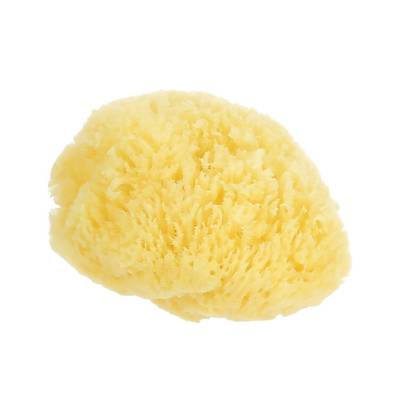 COSMIA Eponge de mer douce & délicate, 1 éponges