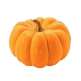 Courge Jack Be Little (calibre moyen), France